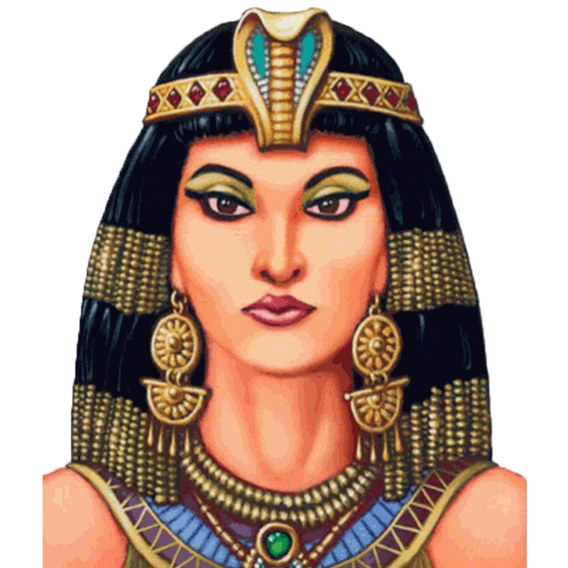 Loài Rắn Hình Mũ Trụ Cleopatra - đánh giá và giá Women Accessories In Egypt